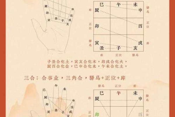 从零开始学八字（八）--十二地支（6）