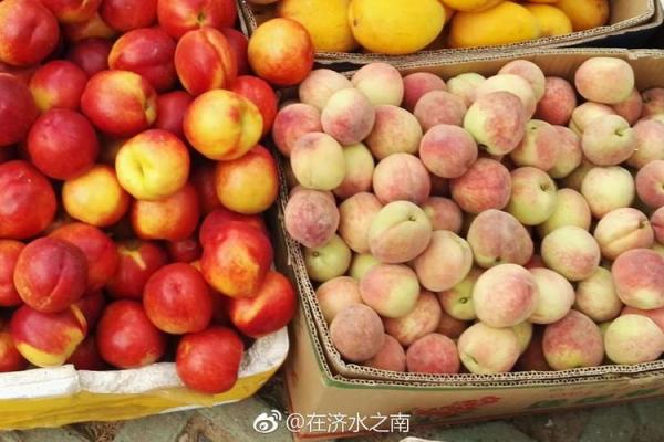 济南郎茂山附近有个算命的