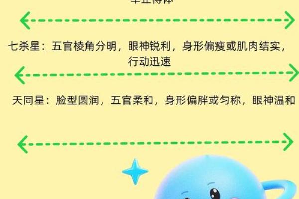 紫薇斗数的财星和官星
