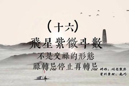 紫薇斗数巨富的条件