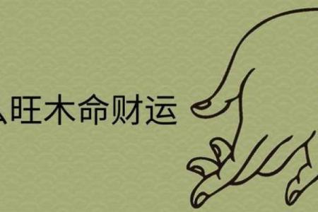 什么是八字木多呢