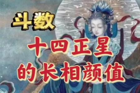 紫薇斗数天府男