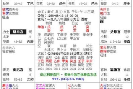 紫薇斗数怎么看命盘