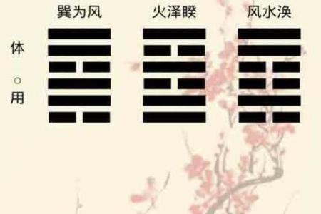 梅花易数排盘怎么解