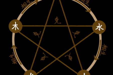商业：办公养花风水与五行八卦