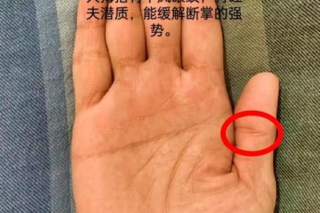 怎样看手相算命,如何学会看手相算命