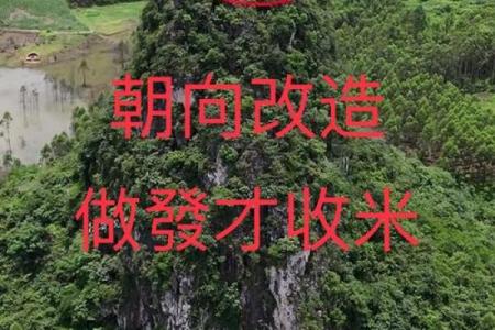 阴宅风水三年出好坏是真的吗