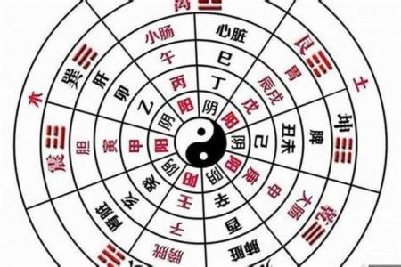 八字全阳女人的特征