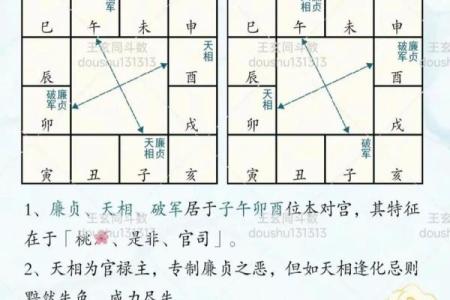 紫薇斗数算国运