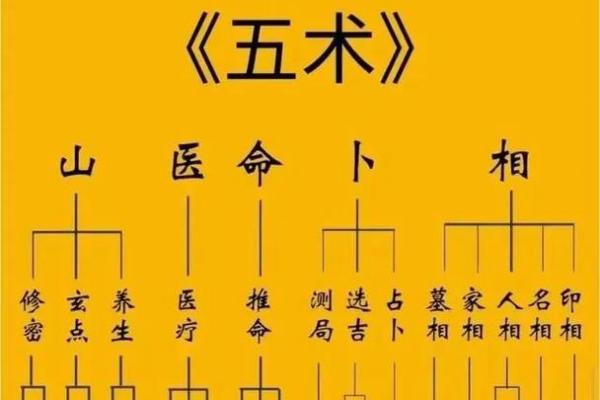 紫薇斗数紫薇五行