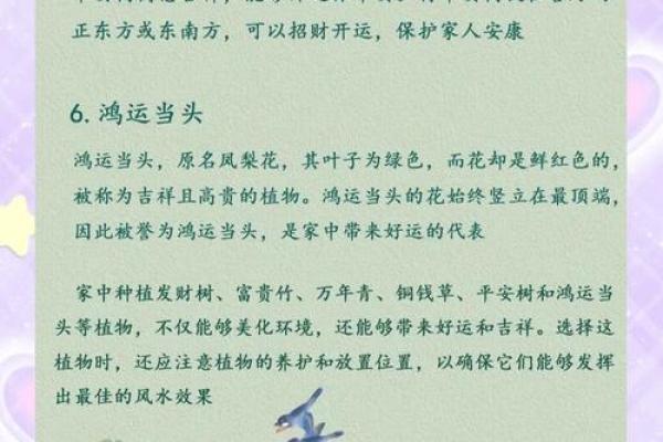 带旺家的风水，很多人却忽略了