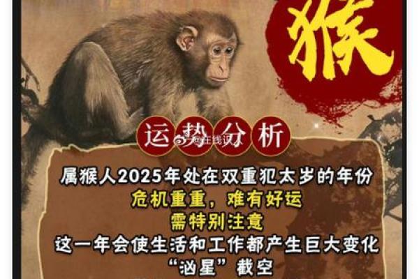 我92年属猴，失业后摆摊谋生，对象要分手，算命先生一笑：黄不了