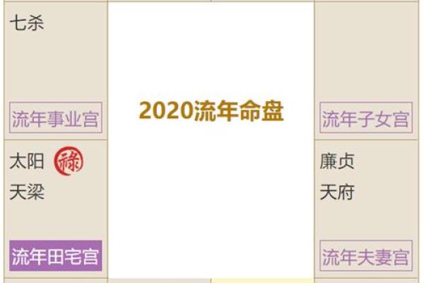 紫薇斗数看人贵贱
