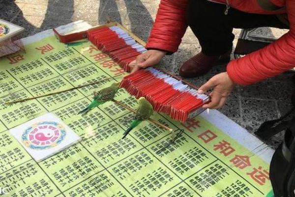 鸟拉屎在身上算命