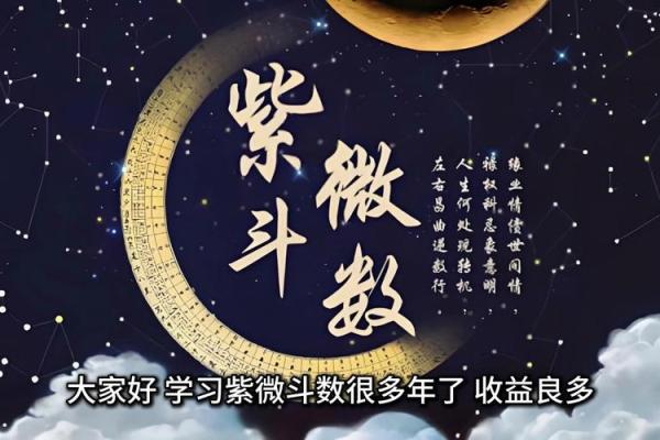 免费测紫薇斗数app