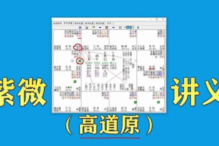 紫薇斗数实战实例