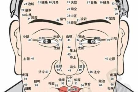 眉毛算命
