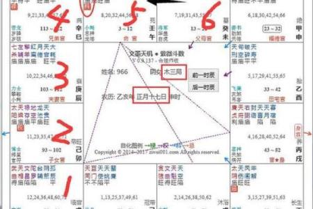 紫薇斗数导语