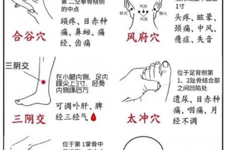 风水中的穴位有哪些禁忌