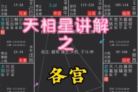 紫微斗数之迁移宫与诸星，天相星在迁移宫是什么意思？