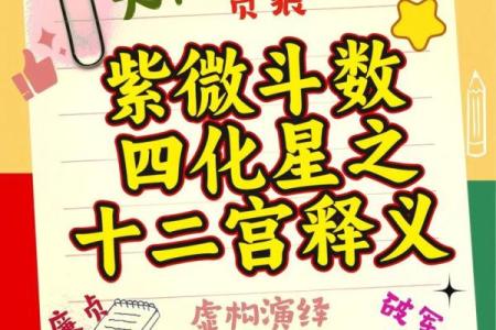 紫微斗数的权星,紫微权忌定位