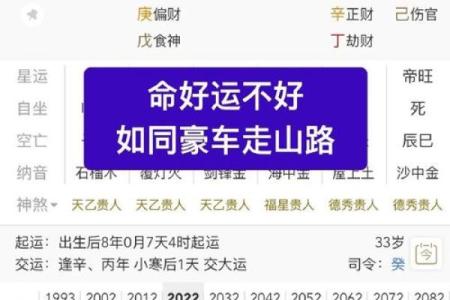 八字岁运