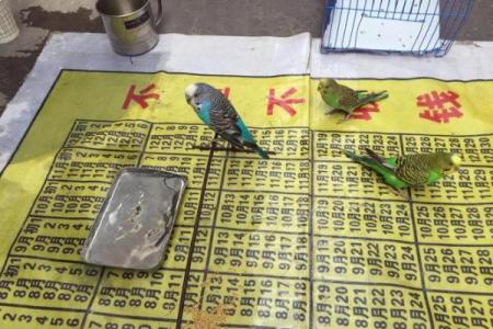 乌鲁木齐市民注意啦！让你抽签算命 这类“和尚”是假的