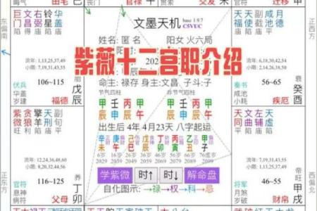 紫微斗数诸星落诸宫之：紫微星兄弟宫详解