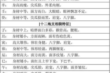 周易八字测名