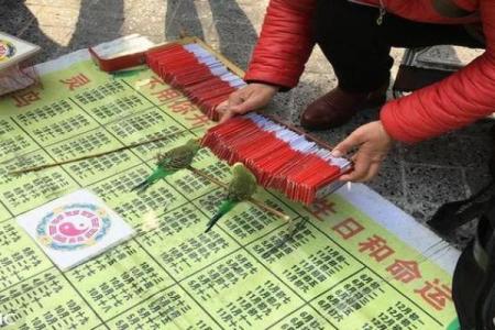 鸟拉屎在身上算命
