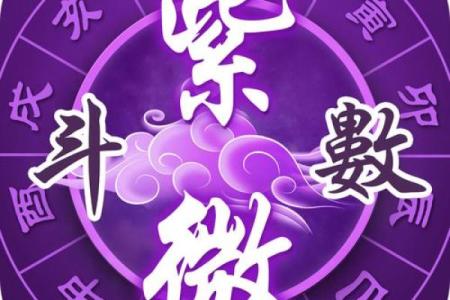 免费测紫薇斗数app