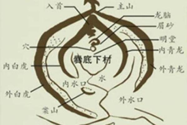 梦见看风水修路