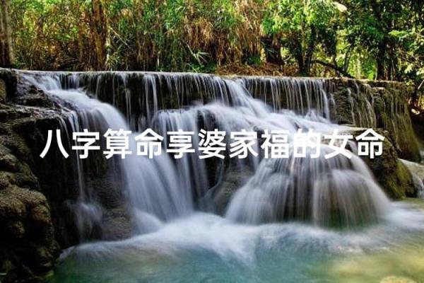 八字婆家