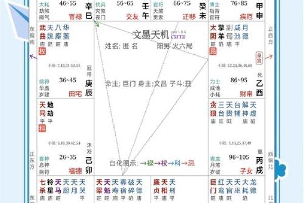 紫薇斗数看子女缘分