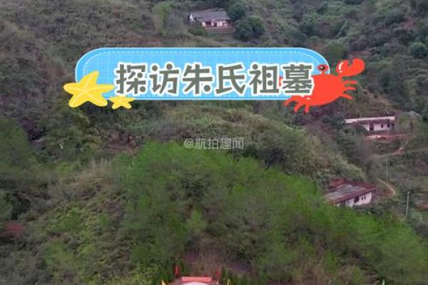 什么样的墓地好风水可旺子孙