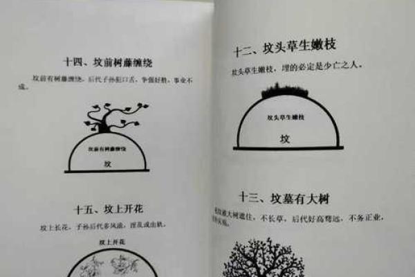 祖坟风水吉凶测算什么化解方法
