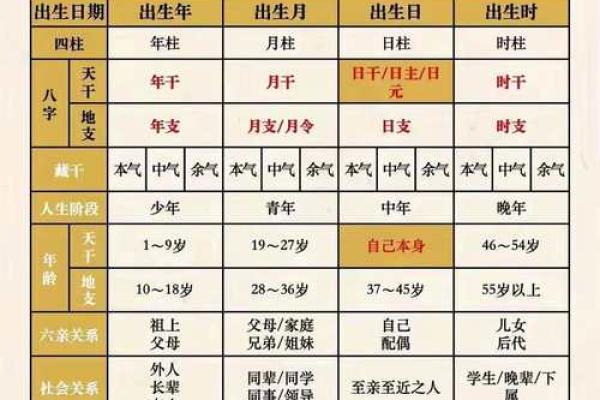 怎样学八字算命
