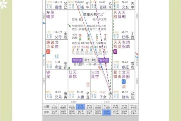 文墨天际紫薇斗数