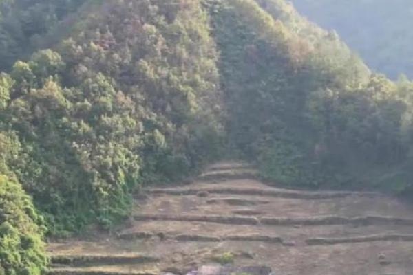 四面都是高房子风水