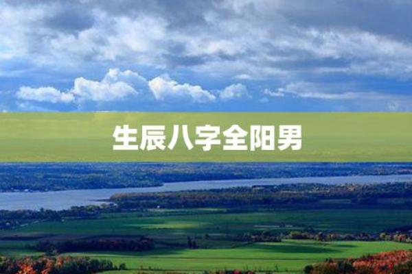 八字全阳的男人是什么转世_全阳八字怎么解破