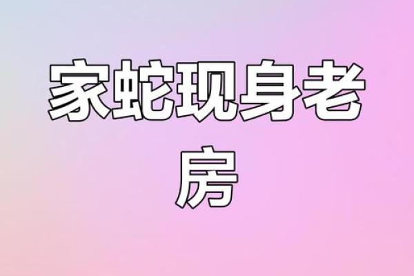 梦见房子风水不好有蛇
