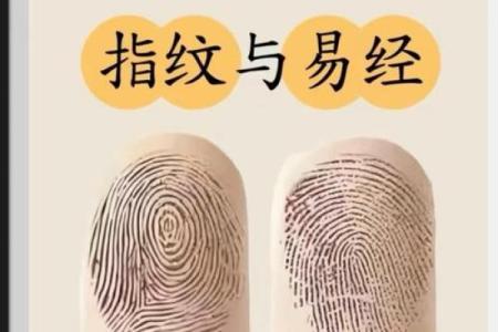 指纹算命 十指指纹算命查询