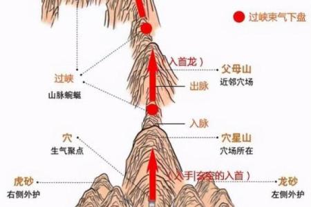 梦见看风水修路