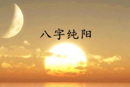 男人八字纯阳
