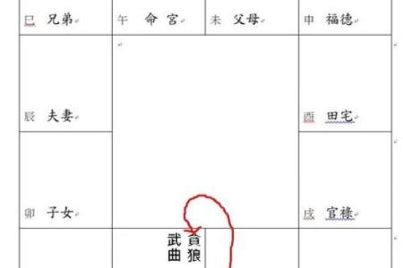 紫薇斗数迁移宫文曲