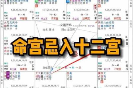 紫薇斗数紫薇入命