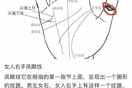 手掌算命男左女右
