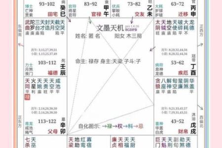 紫薇斗数如何看工作变化