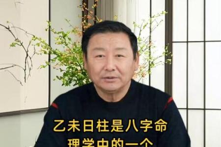 八字乙未日
