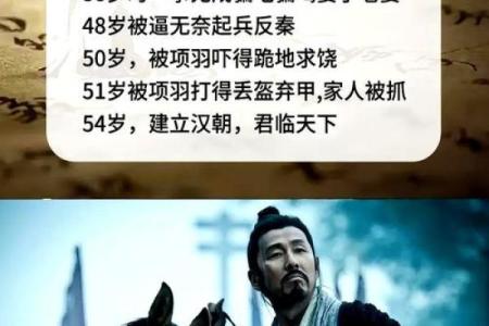 岳飞算命